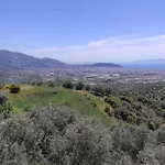 Admonis - In The Olive Grove Apartment