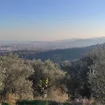 Apartment Admonis - In The Olive Grove