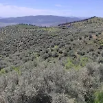 Admonis - In The Olive Grove Apartment