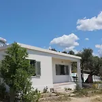 Admonis - In The Olive Grove