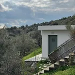 Admonis - In The Olive Grove