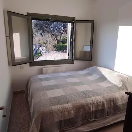 Admonis - In The Olive Grove