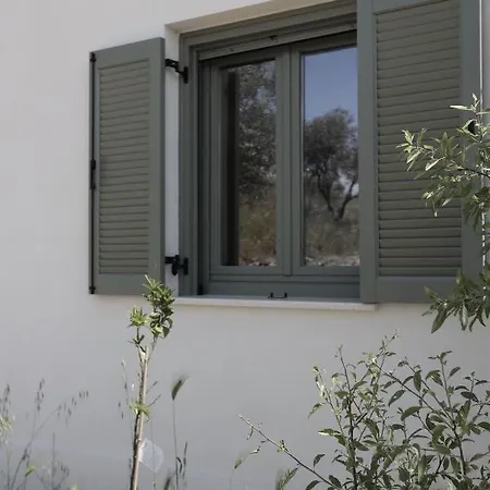 Admonis - In The Olive Grove Daire *