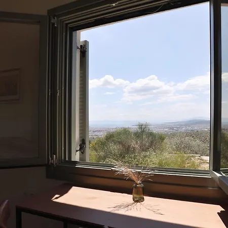 Admonis - In The Olive Grove Melissatika