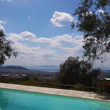 Admonis - In The Olive Grove Apartament *