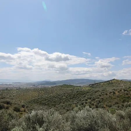 Admonis - In The Olive Grove Apartment *