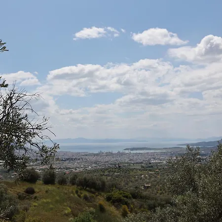 Admonis - In The Olive Grove Melissatika