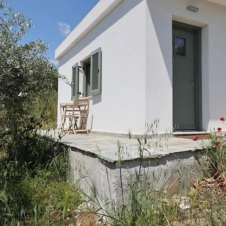 Admonis - In The Olive Grove Appartement