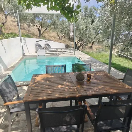 Admonis - In The Olive Grove