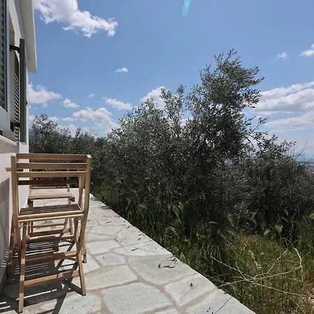 Admonis - In The Olive Grove Melissatika