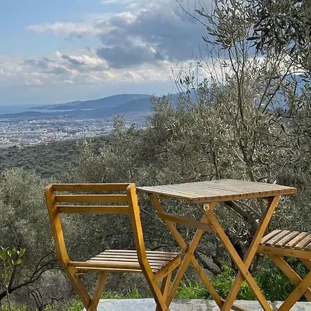 Admonis - In The Olive Grove * Melissatika
