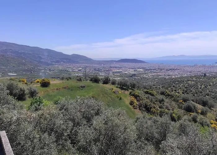Admonis - In The Olive Grove Apartment