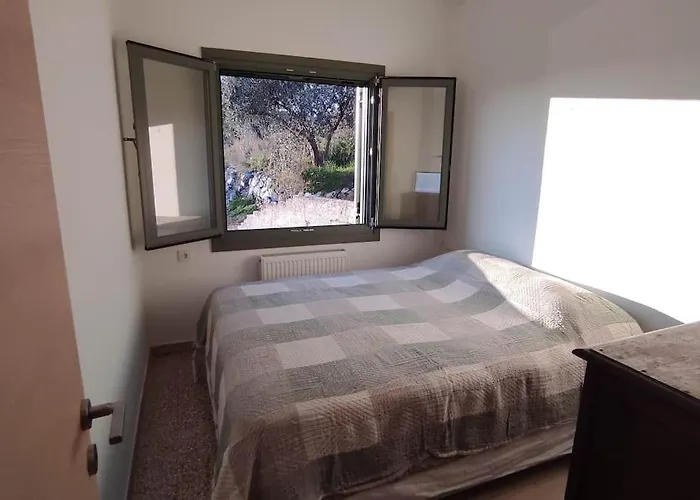 Admonis - In The Olive Grove