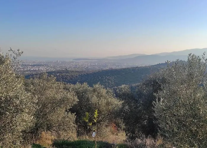 Appartement Admonis - In The Olive Grove