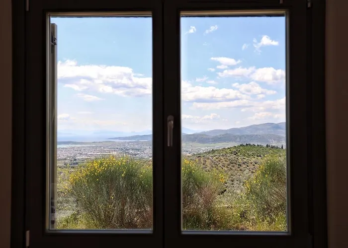 Admonis - In The Olive Grove *