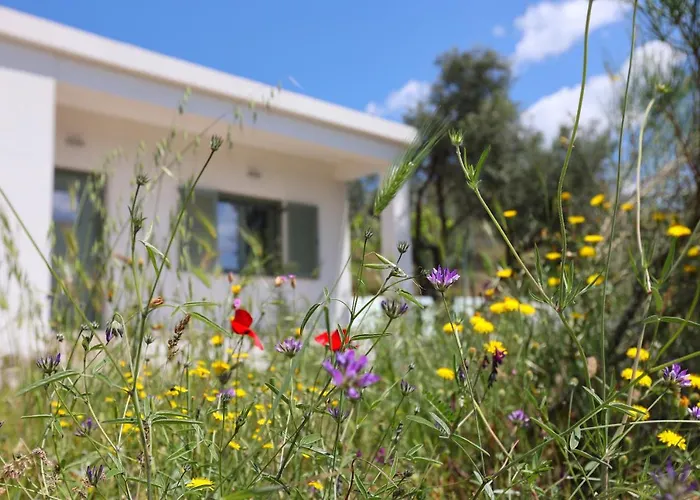 Admonis - In The Olive Grove Apartment