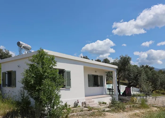 Admonis - In The Olive Grove