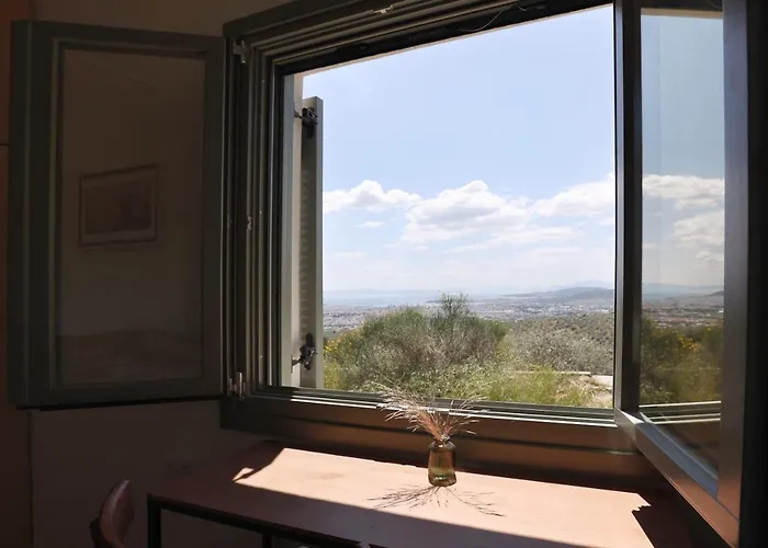 Admonis - In The Olive Grove Melissatika