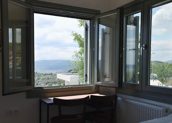 Admonis - In The Olive Grove