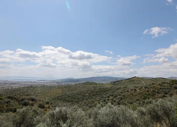 Admonis - In The Olive Grove Appartement *