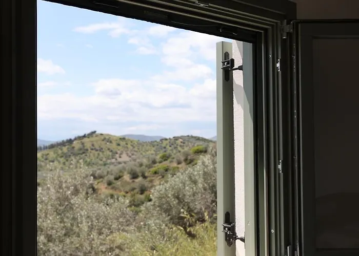 Admonis - In The Olive Grove Appartement