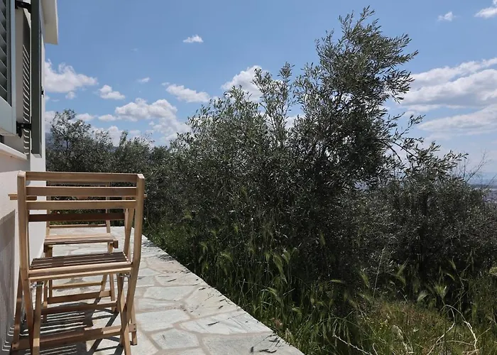 Appartement Admonis - In The Olive Grove