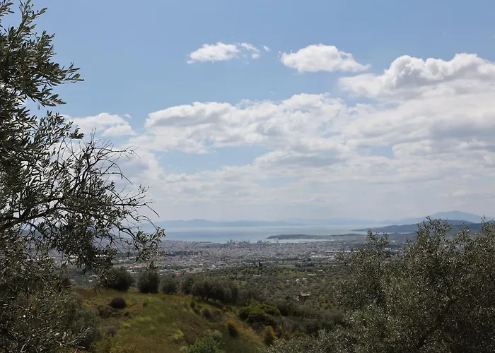 Admonis - In The Olive Grove Melissatika