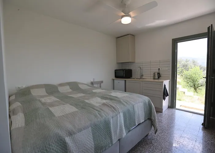 Admonis - In The Olive Grove *