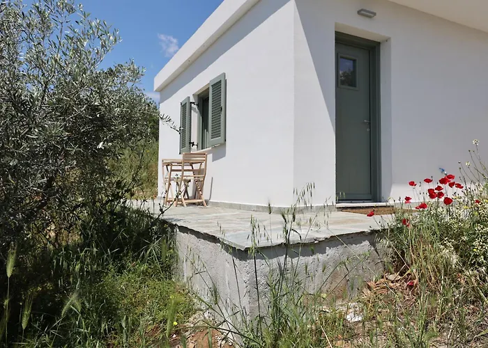 Admonis - In The Olive Grove Appartement