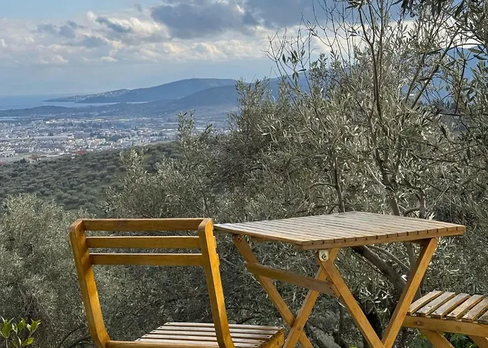 Admonis - In The Olive Grove Appartement