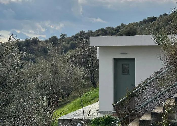 Admonis - In The Olive Grove